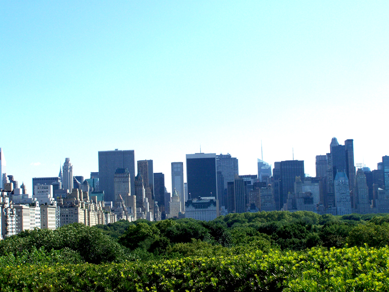 Cityscape from the atop the MET