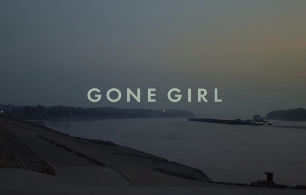 Conclusions on Gone Girl