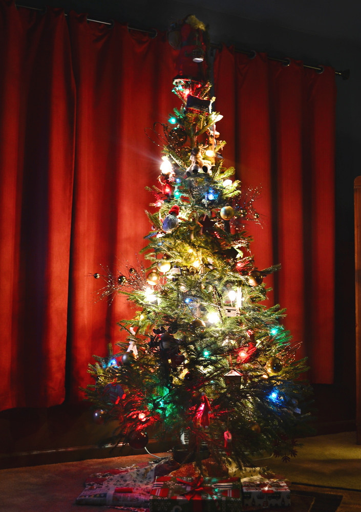 Christmas Tree 2014