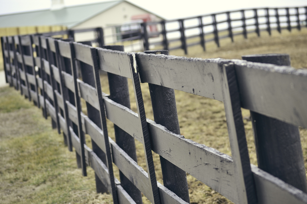 Black fence