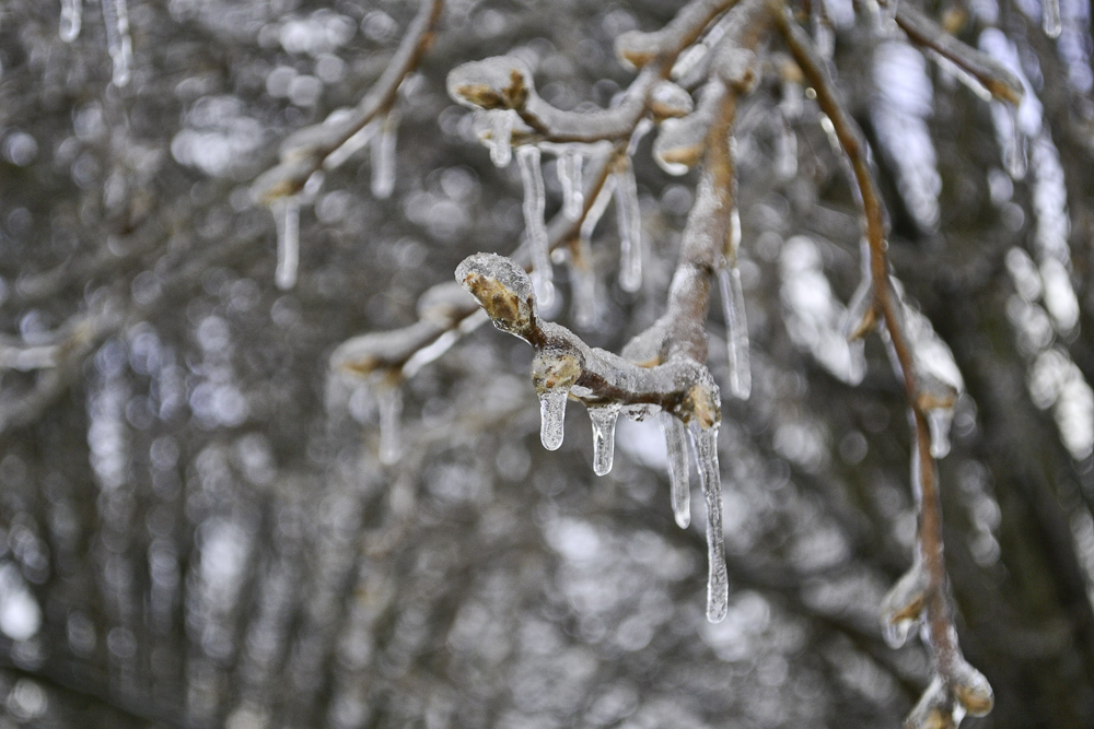 Ice storm 2015