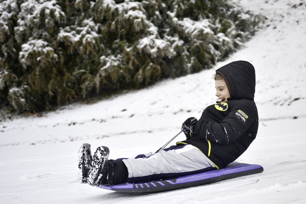 Jack on the sled