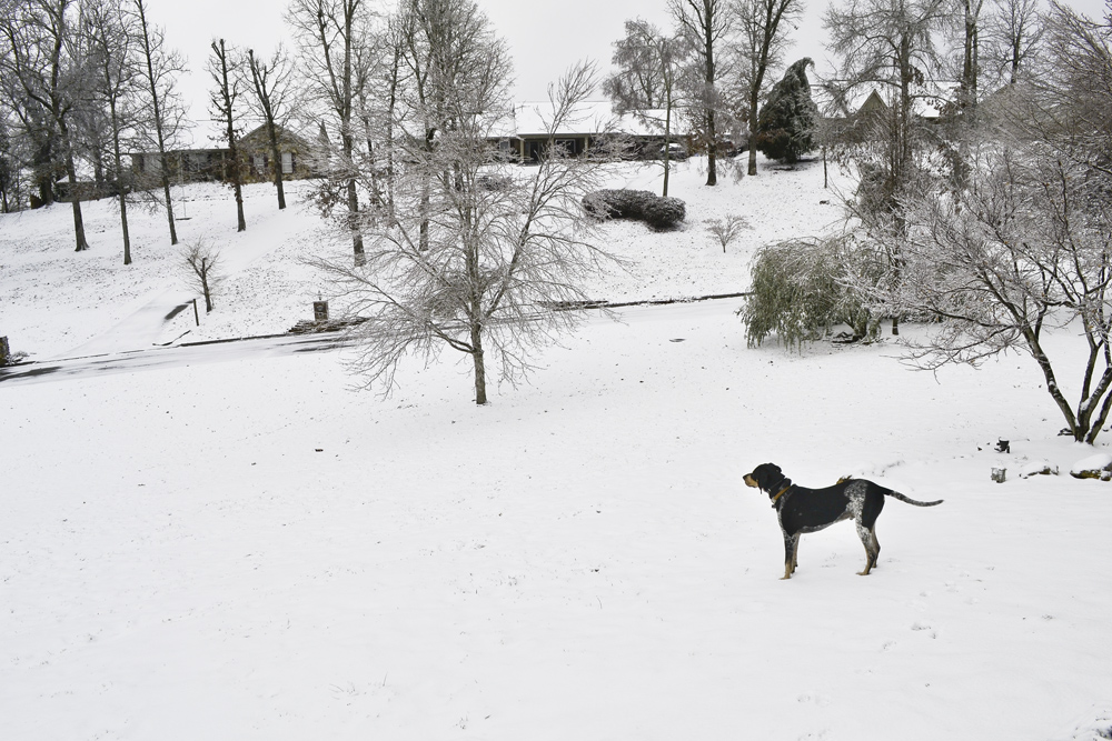 Major in the snow