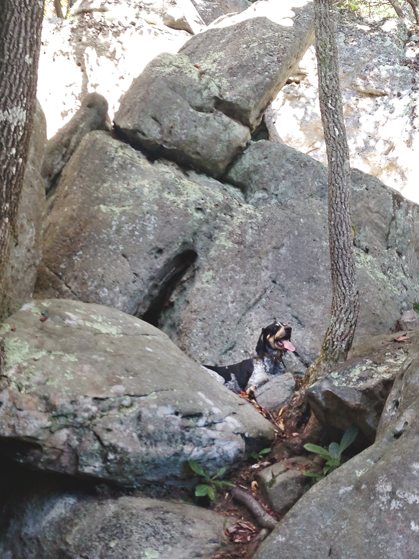 Major goes bouldering