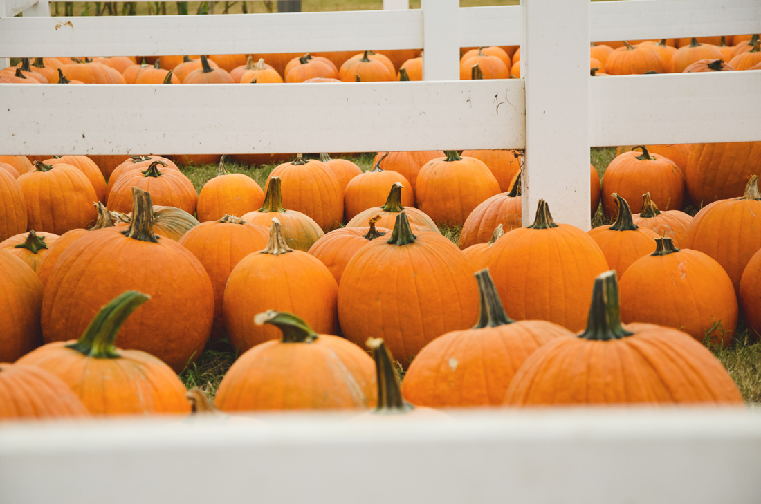 Pumpkins