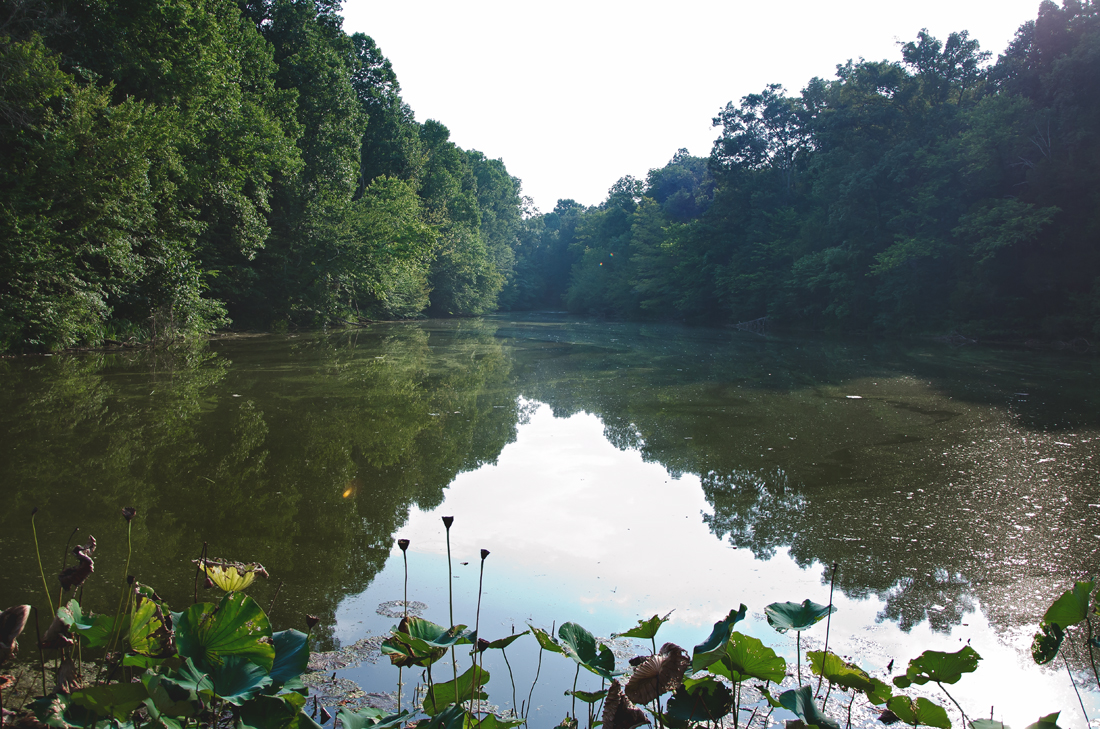 Guesthouse Pond