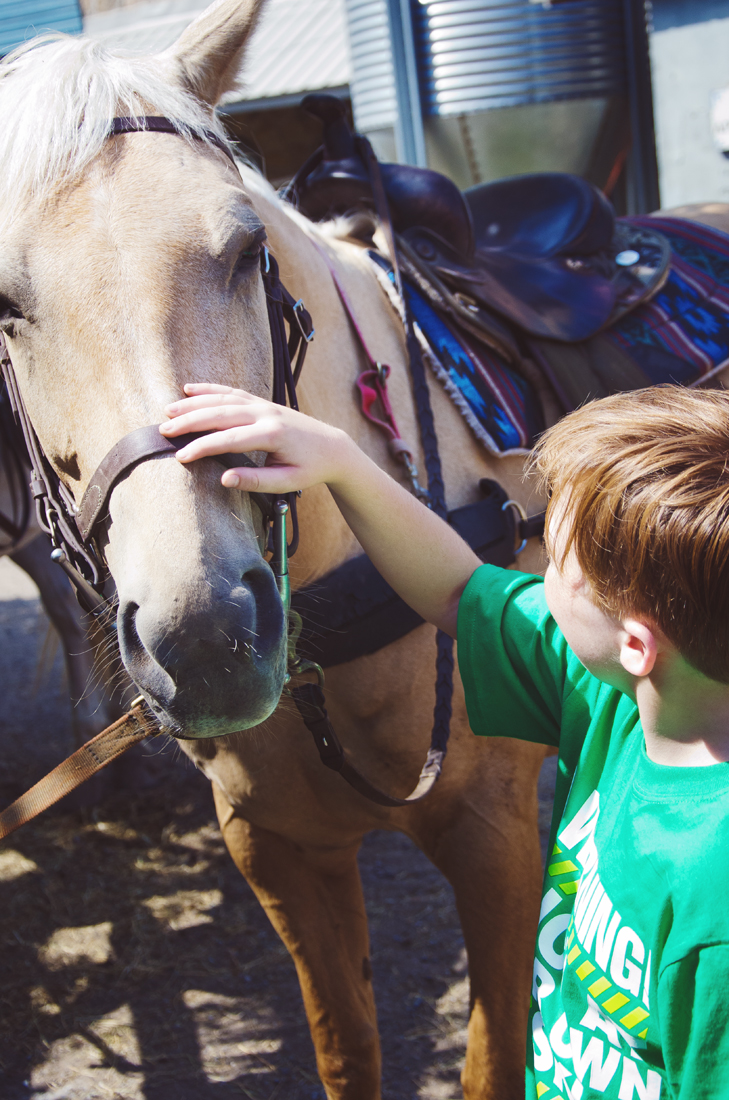 Jeremy and his horse