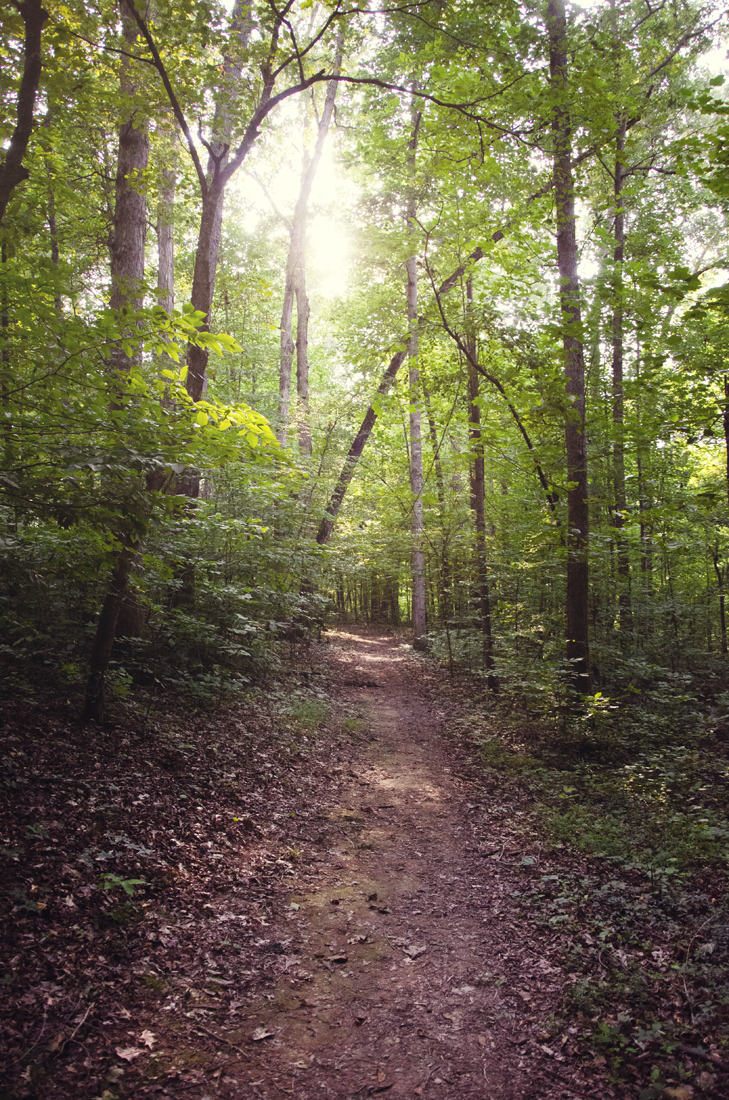 Path to the sunlight