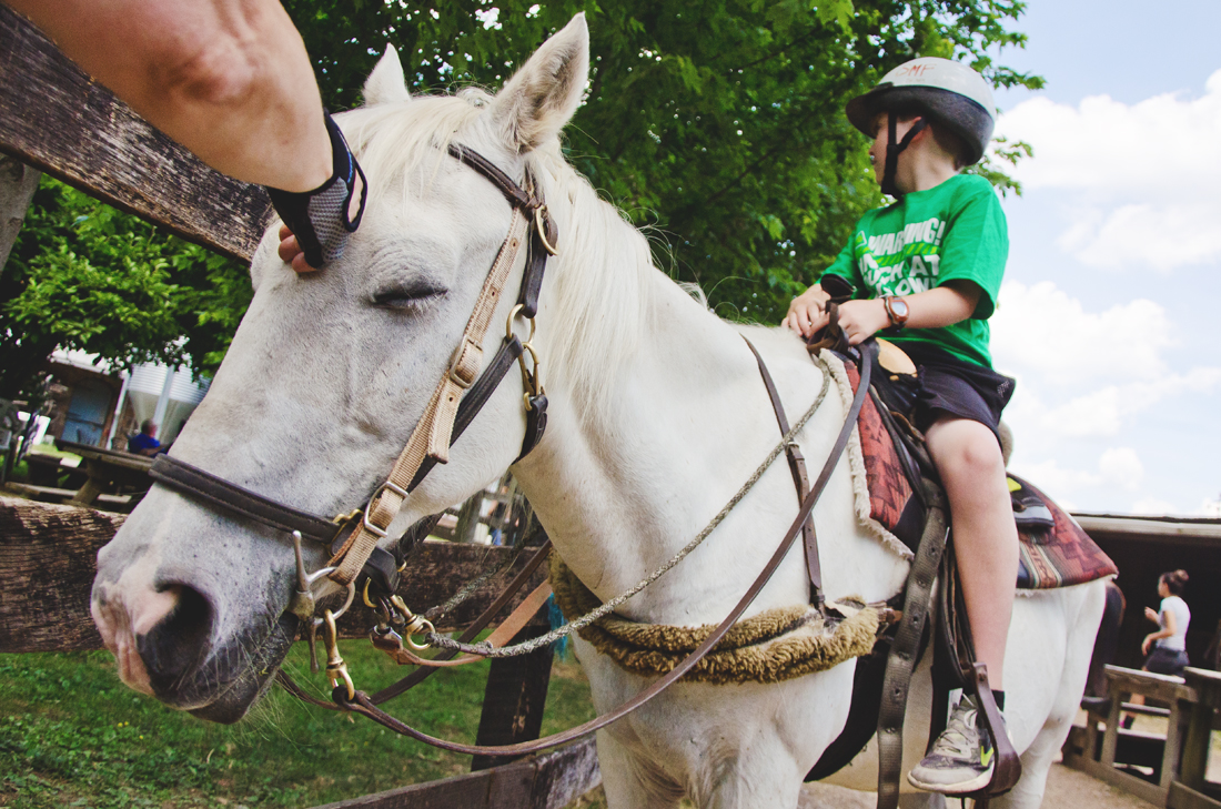 Petting Jeremy's horse