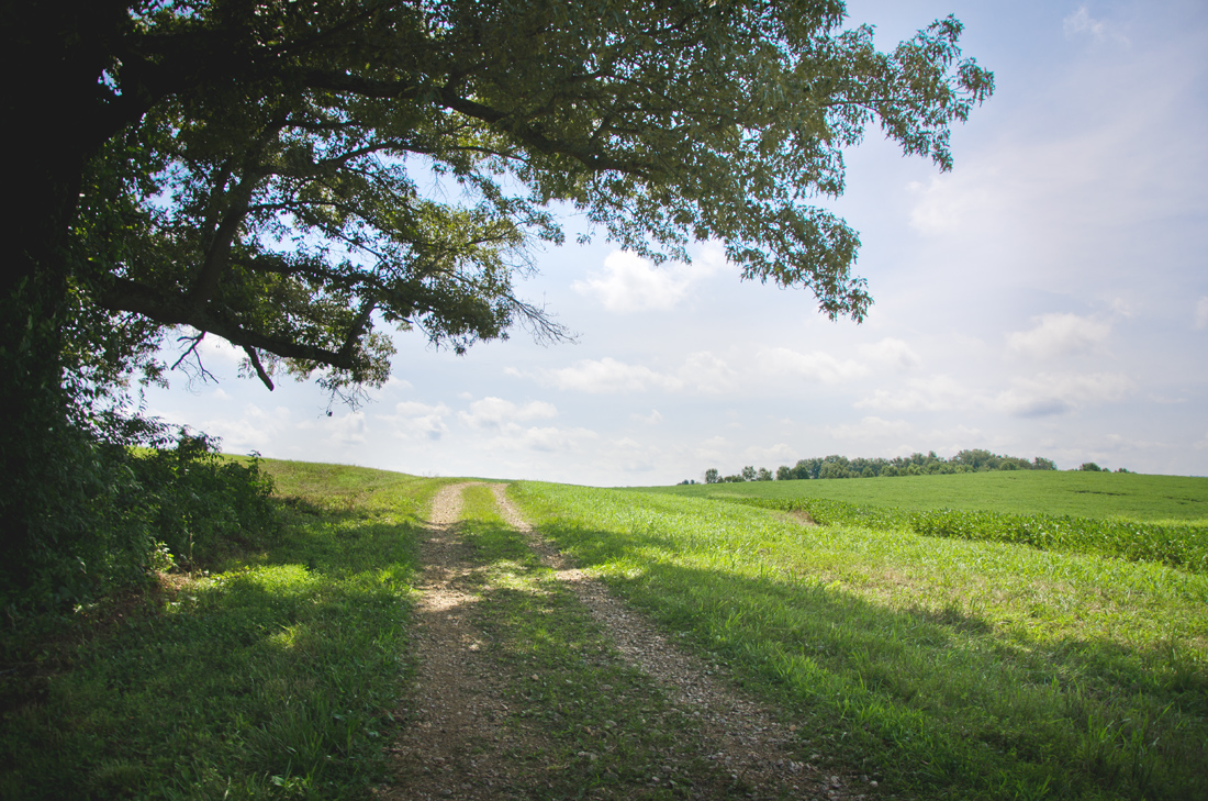 The walk home