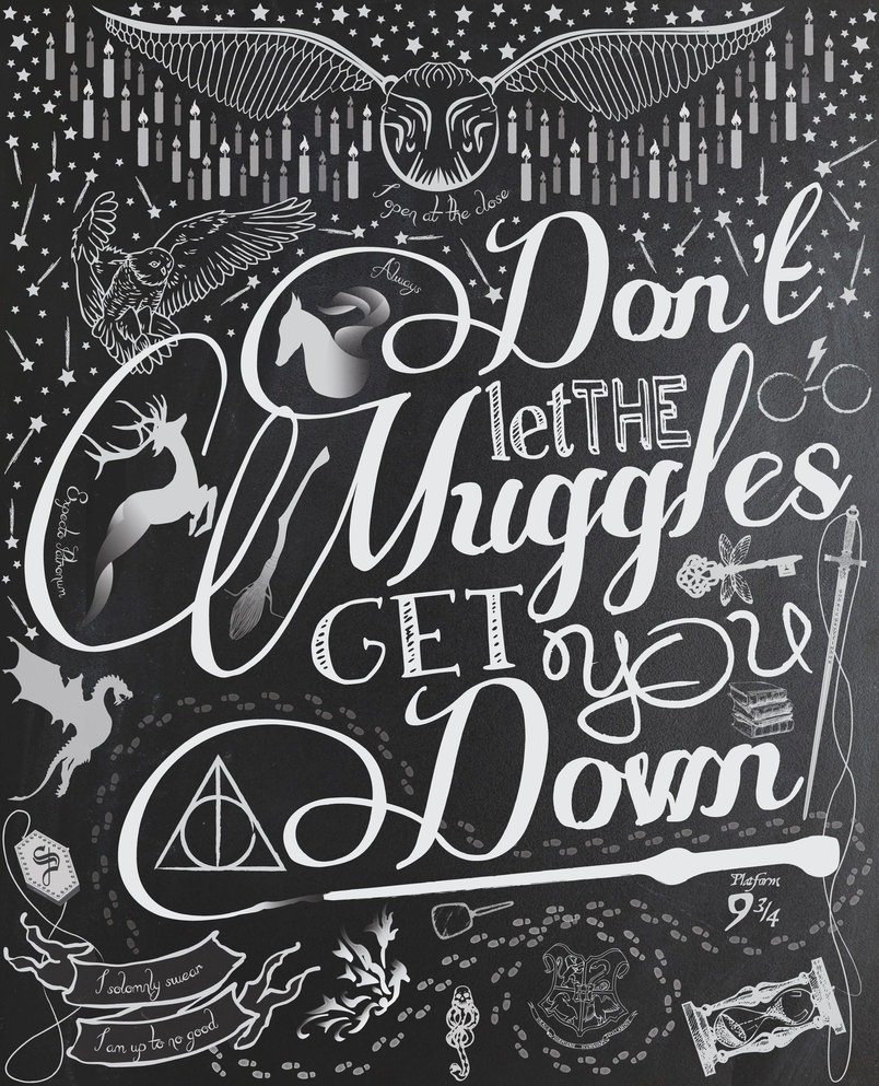 dont-let-the-muggles-get-you-down