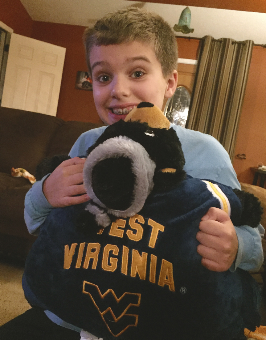 wv-pillow-pet