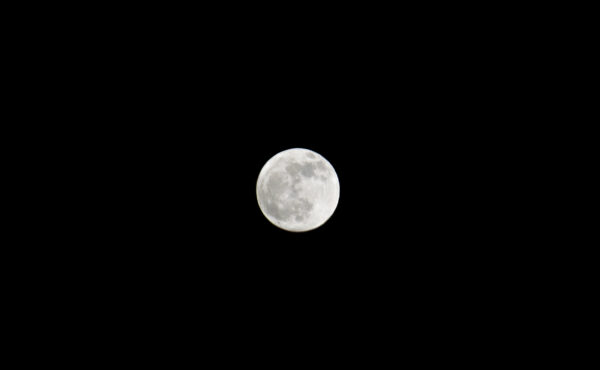 A Full Moon in December