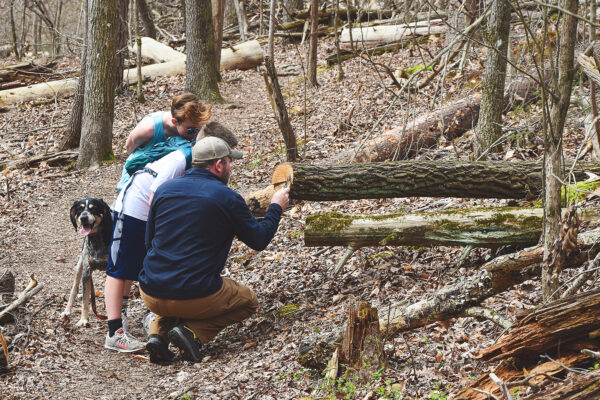 A Hike in the Woods